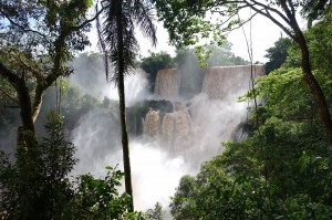 DSC03510